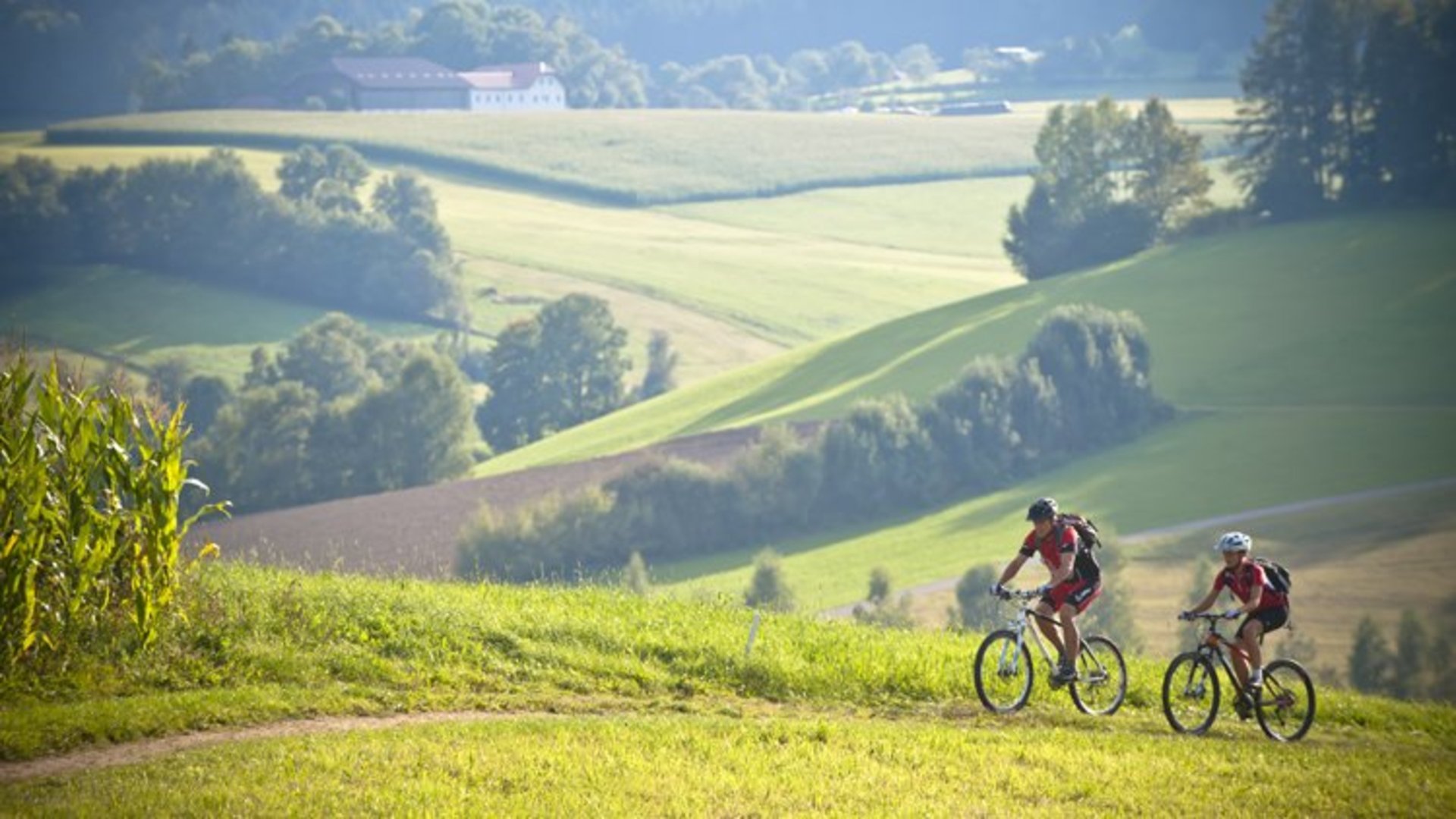 Mountainbiken im Mühlviertel © Oberösterreich Tourismus GmbH / Hermann Erber Mountainbiken im Mühlviertel © Oberösterreich Tourismus GmbH / Hermann Erber