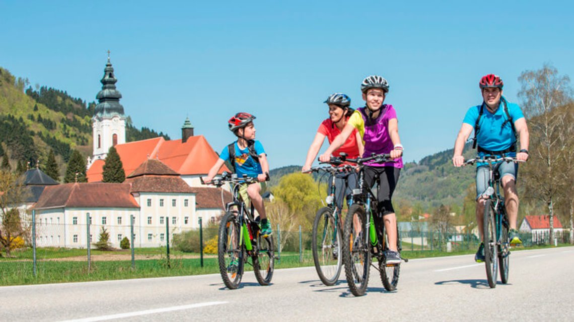Informationen zu Rad Total im Donautal Urlaubsregion Donau Fahrrad für erwachsene in 93057 Regensburg für € 130,00 zum