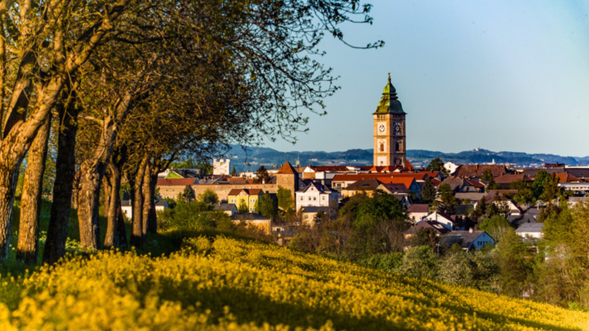Ortsansicht Enns © TSE GmbH Ortsansicht Enns © TSE GmbH