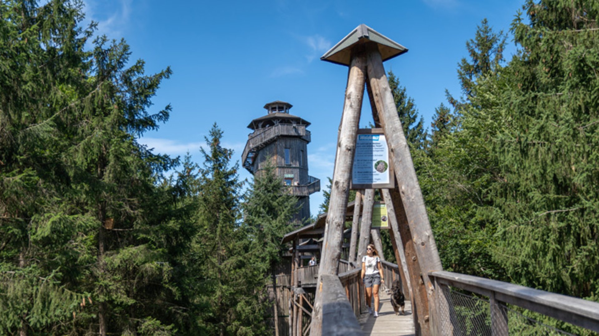 Baumkronenweg © Baumkronenweg Kopfing, OÖ Baumkronenweg © Baumkronenweg Kopfing, OÖ